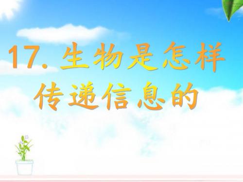 科学六年级下青岛版4.2生物是怎样传递信息的课件4