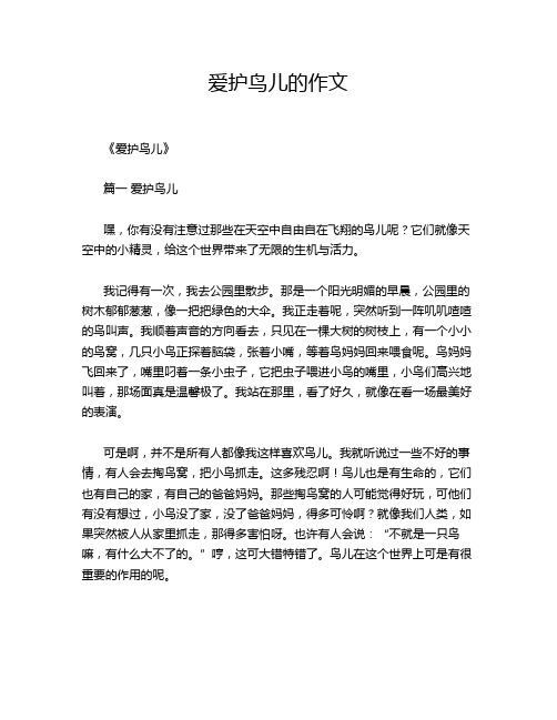 爱护鸟儿的作文