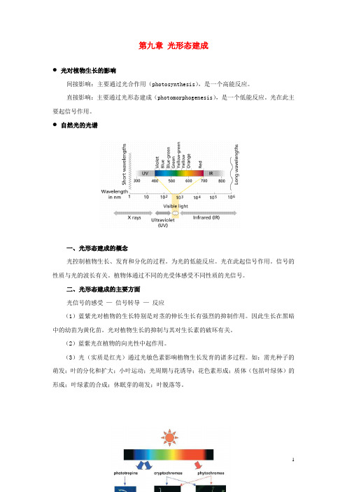 光形态建成光对植物生长的影响间接影响主要通过光合作用