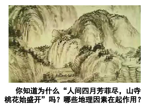 专题四：垂直地域分异规律(沪)