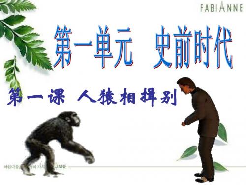 站立起来的祖先