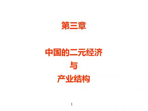 第三章中国的二元经济与产业结构-PPT课件