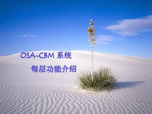 OSA-CBM系统每层功能介绍