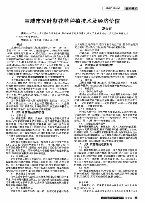 宣威市光叶紫花苕种植技术及经济价值