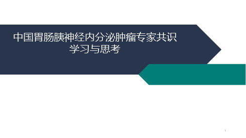 胰腺神经内分泌肿瘤PPT精选课件