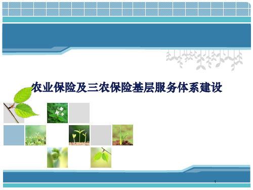 农业保险及三农保险基层服务体系建设