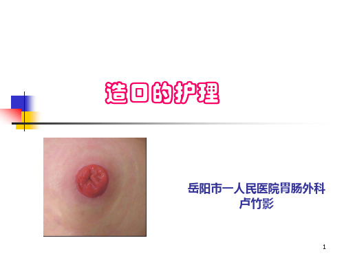 造口护理PPT参考课件