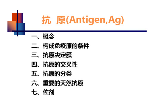 抗原决定簇