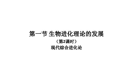 苏教版高中生物必修二5.1生物进化理论的发展(共21张PPT)