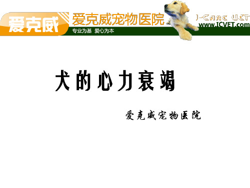 犬的心力衰竭
