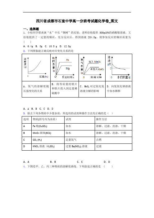 四川省成都市石室中学高一分班考试题化学卷_图文