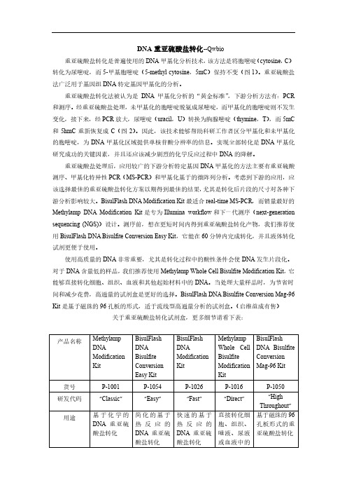DNA重亚硫酸盐转化