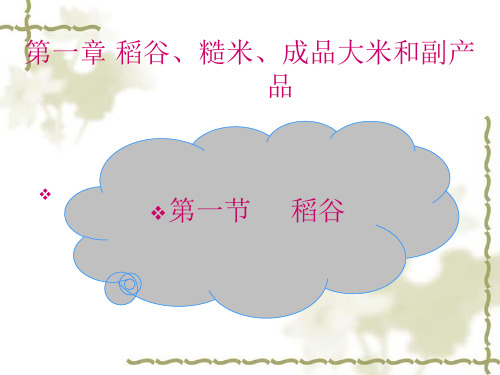 稻谷的工艺课程