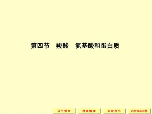 【化学】2013-2014学年同步教学课件：2-4-1 羧酸 氨基酸和蛋白质(鲁科版选修五)