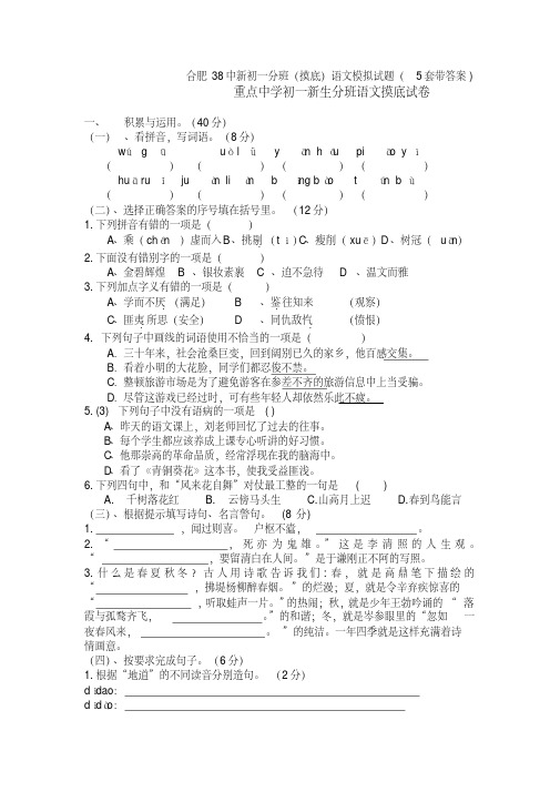 合肥38中新初一分班(摸底)语文模拟试题(5套带答案)