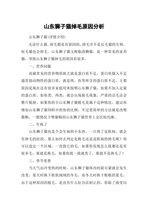 山东狮子猫掉毛原因分析