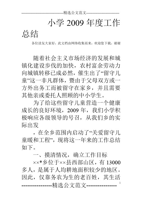 小学2009年度工作总结