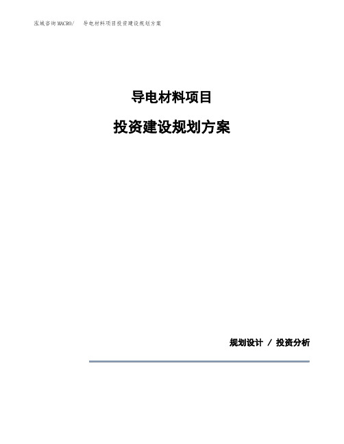 导电材料项目投资建设规划方案(模板)