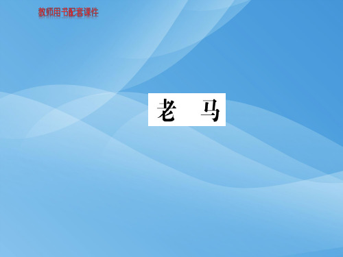 人教版高中语文现代诗歌散文欣赏课件：第五单元老马 (共10张PPT)