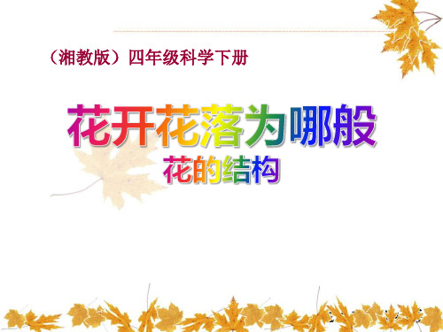 《花开花落为哪般》教学ppt课件(优选)