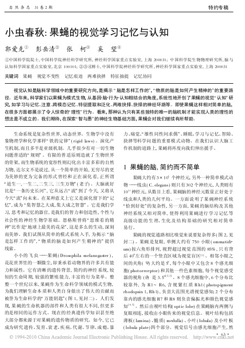 小虫春秋_果蝇的视觉学习记忆与认知