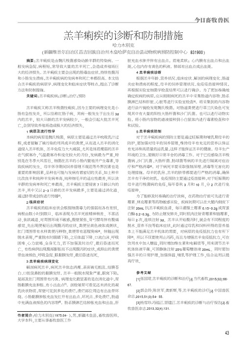 羔羊痢疾的诊断和防制措施