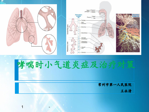 哮喘的小气道炎症(科内稿)ppt课件