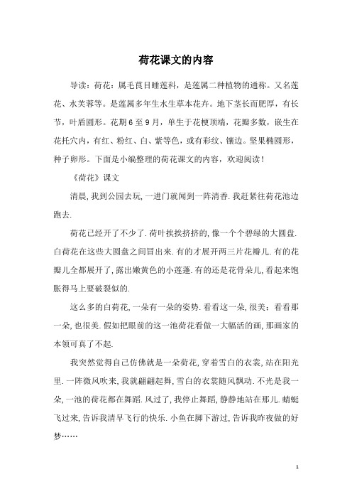 荷花课文的内容