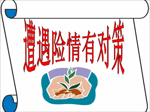 《遭遇险情有对策》参考课件2