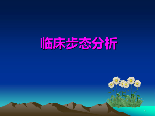 步态分析