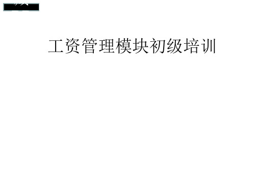 工资管理模块初级培训教程PPT课件