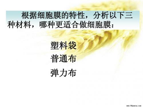 人教版教学课件4.2生物膜的流动镶嵌模型