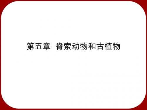 古生物2