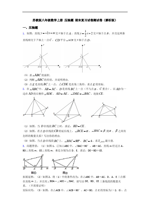 苏教版八年级数学上册 压轴题 期末复习试卷测试卷(解析版)