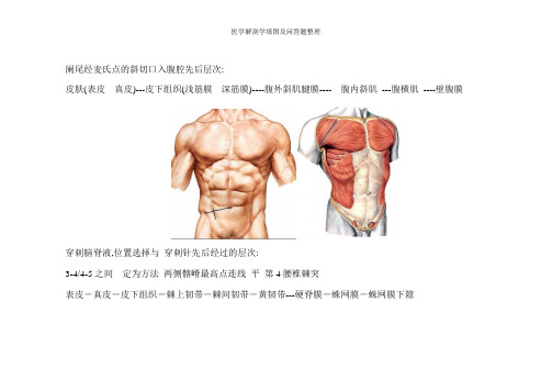 医学解剖学填图及问答题整理