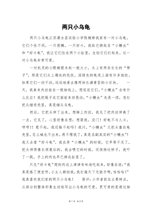 两只小乌龟_四年级作文