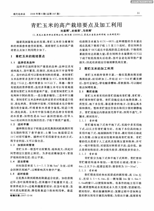 青贮玉米的高产栽培要点及加工利用