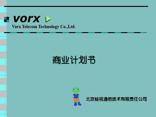 北京蛙视通信技术有限责任公司商业计划书(3)