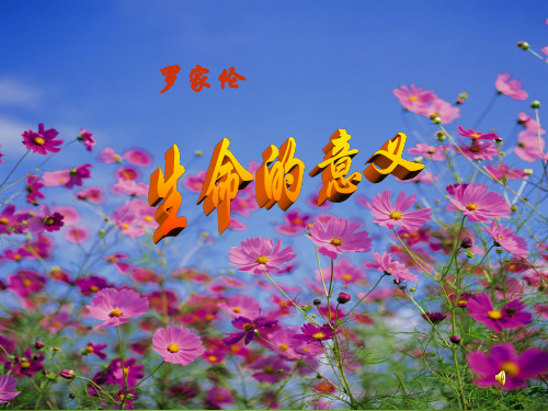 生命的意义