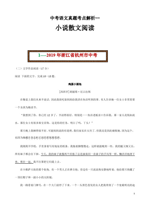 (名师整理)最新部编人教版语文冲刺中考专题复习《小说散文阅读》考点精讲精练