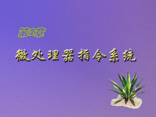 微机原理第02章(指令系统)3
