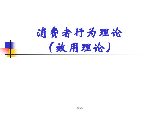 微观经济学   消费者行为理论  课件学习资料.ppt