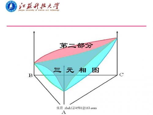 第二章 三元相图