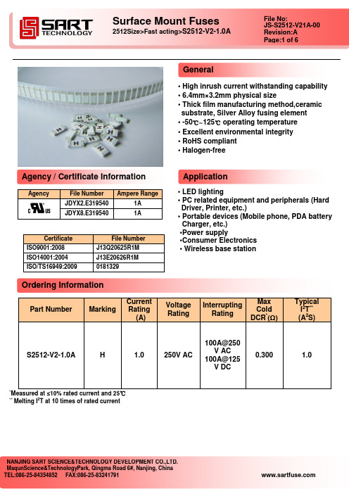 保险丝250V,1A