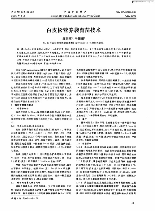 白皮松营养袋育苗技术