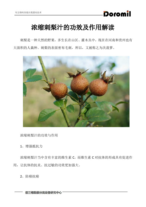 浓缩刺梨汁的功效及作用解读