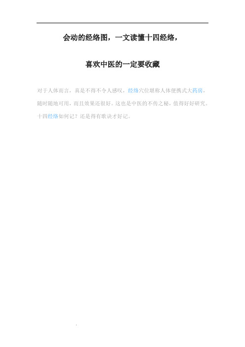 会动的经络图