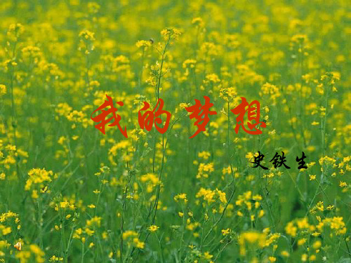 15史铁生《我的梦想》优质课件——全面、精品、规范
