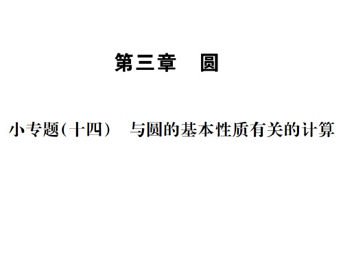 北师大版九年级数学下册习题课件：小专题(十四) 与圆的基本性质有关的计算 (共11张PPT)