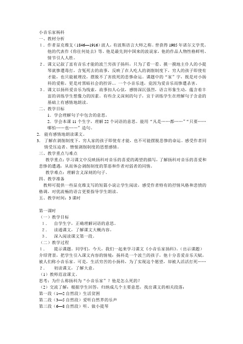 小音乐家杨科